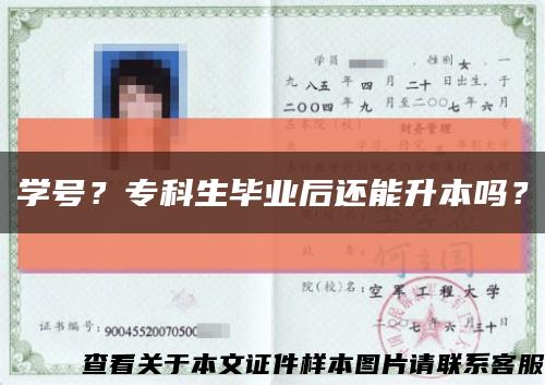 學號？?？粕厴I后還能升本嗎？縮略圖