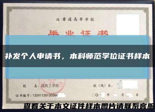 補發個人申請書，本科師范學位證書樣本縮略圖