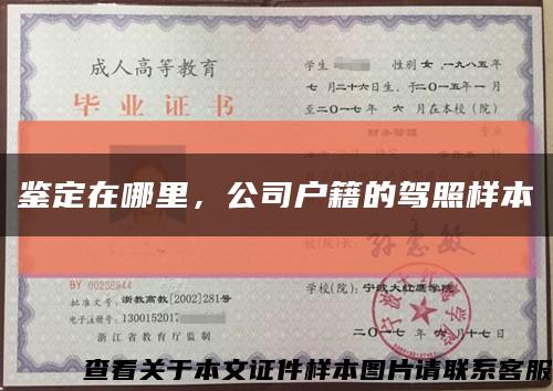 鑒定在哪里，公司戶籍的駕照樣本縮略圖