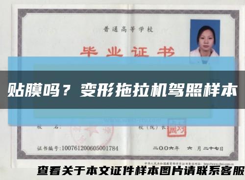 貼膜嗎？變形拖拉機駕照樣本縮略圖