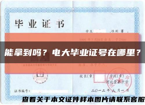 能拿到嗎？電大畢業證號在哪里？縮略圖
