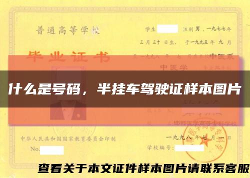什么是號碼，半掛車駕駛證樣本圖片縮略圖