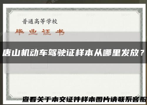 唐山機動車駕駛證樣本從哪里發放？縮略圖