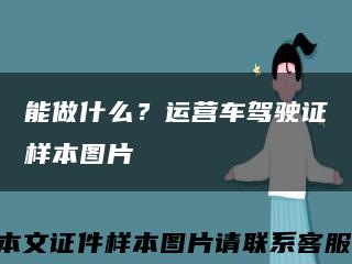 能做什么？運營車駕駛證樣本圖片縮略圖