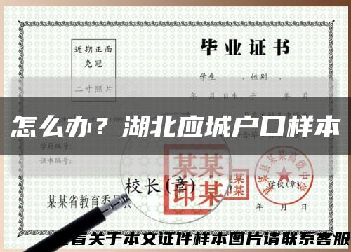 怎么辦？湖北應城戶口樣本縮略圖