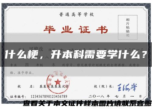 什么梗，升本科需要學什么？縮略圖