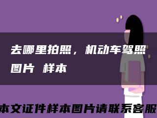 去哪里拍照，機動車駕照圖片 樣本縮略圖