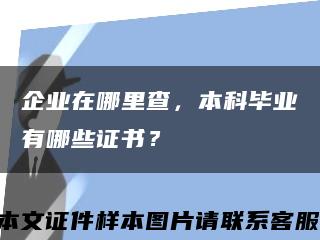 企業在哪里查，本科畢業有哪些證書？縮略圖