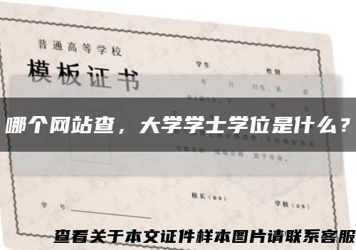 哪個網站查，大學學士學位是什么？縮略圖