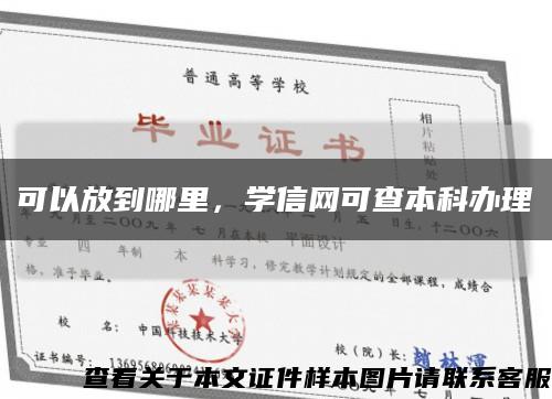 可以放到哪里，學信網可查本科辦理縮略圖