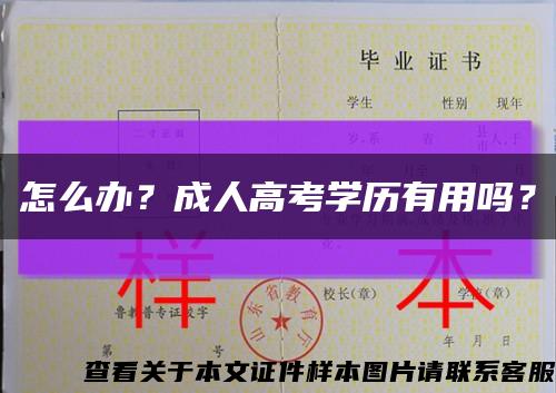 怎么辦？成人高考學歷有用嗎？縮略圖
