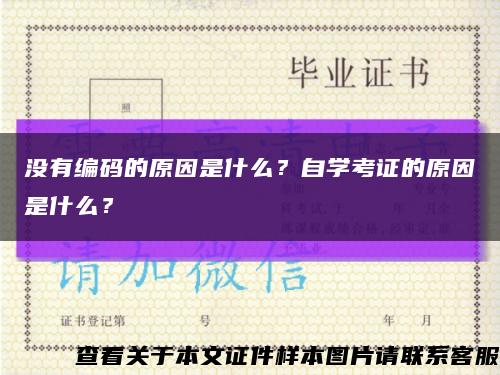 沒有編碼的原因是什么？自學考證的原因是什么？縮略圖