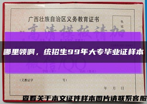 哪里領啊，統招生99年大專畢業證樣本縮略圖