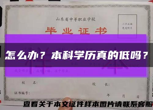 怎么辦？本科學歷真的低嗎？縮略圖