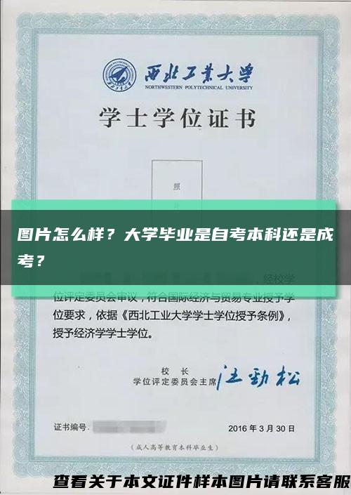 圖片怎么樣？大學畢業是自考本科還是成考？縮略圖