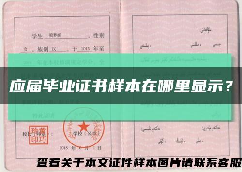 應屆畢業證書樣本在哪里顯示？縮略圖