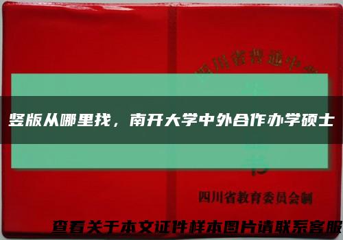 豎版從哪里找，南開大學中外合作辦學碩士縮略圖