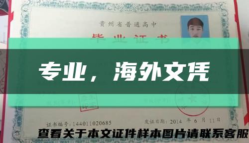 專業，海外文憑縮略圖