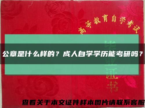 公章是什么樣的？成人自學學歷能考研嗎？縮略圖