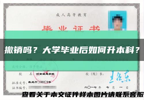撤銷嗎？大學畢業后如何升本科？縮略圖
