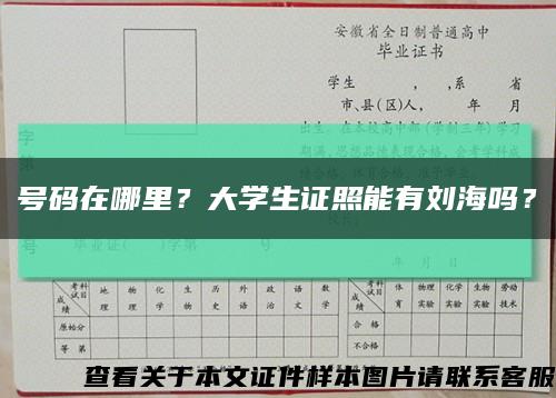 號碼在哪里？大學生證照能有劉海嗎？縮略圖