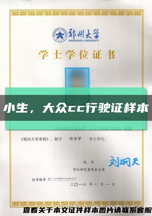 小生，大眾cc行駛證樣本縮略圖