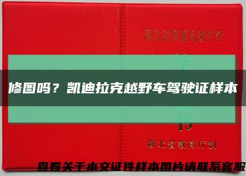 修圖嗎？凱迪拉克越野車駕駛證樣本縮略圖