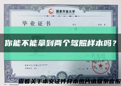 你能不能拿到兩個駕照樣本嗎？縮略圖