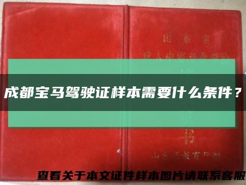 成都寶馬駕駛證樣本需要什么條件？縮略圖