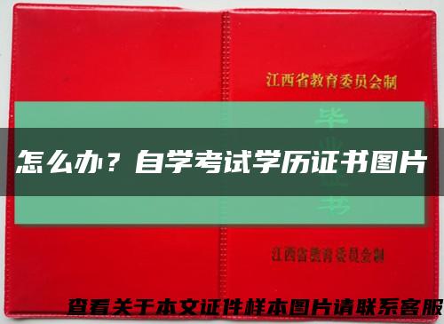 怎么辦？自學考試學歷證書圖片縮略圖