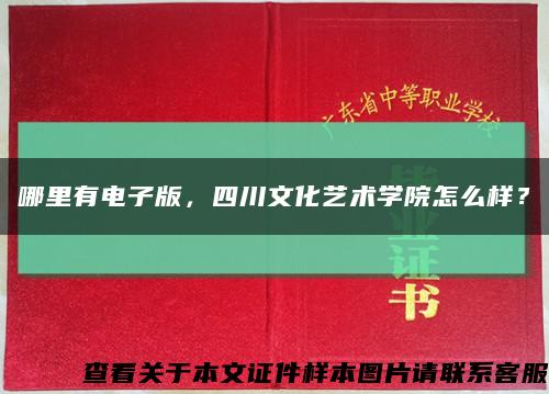 哪里有電子版，四川文化藝術學院怎么樣？縮略圖