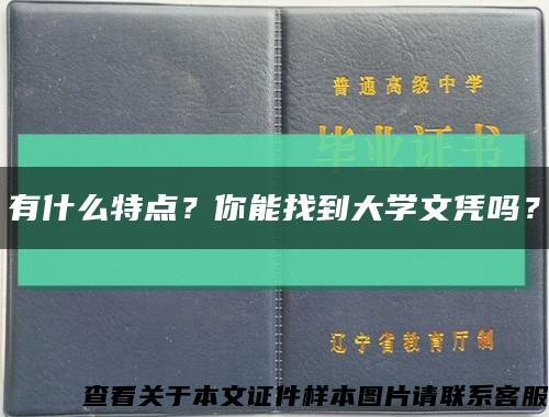 有什么特點？你能找到大學文憑嗎？縮略圖