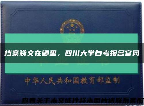 檔案袋交在哪里，四川大學自考報名官網縮略圖