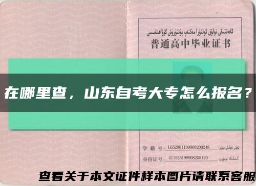 在哪里查，山東自考大專怎么報名？縮略圖