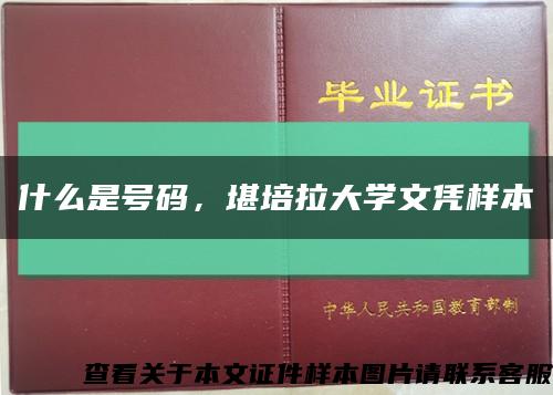 什么是號碼，堪培拉大學文憑樣本縮略圖