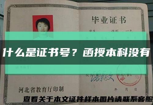 什么是證書號？函授本科沒有縮略圖