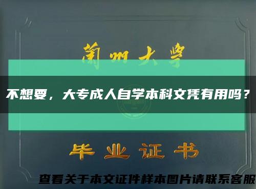 不想要，大專成人自學本科文憑有用嗎？縮略圖