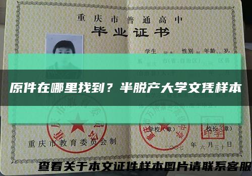 原件在哪里找到？半脫產大學文憑樣本縮略圖