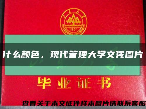 什么顏色，現代管理大學文憑圖片縮略圖