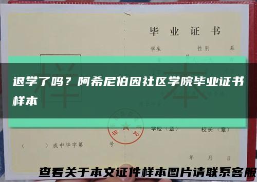 退學了嗎？阿希尼伯因社區學院畢業證書樣本縮略圖