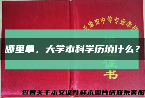 哪里拿，大學本科學歷填什么？縮略圖