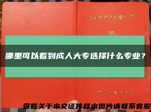 哪里可以看到成人大專選擇什么專業？縮略圖