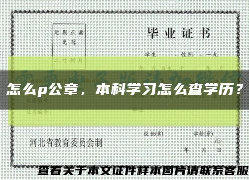 怎么p公章，本科學習怎么查學歷？縮略圖