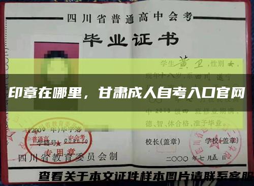 印章在哪里，甘肅成人自考入口官網縮略圖