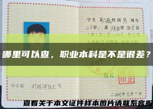 哪里可以查，職業本科是不是很差？縮略圖