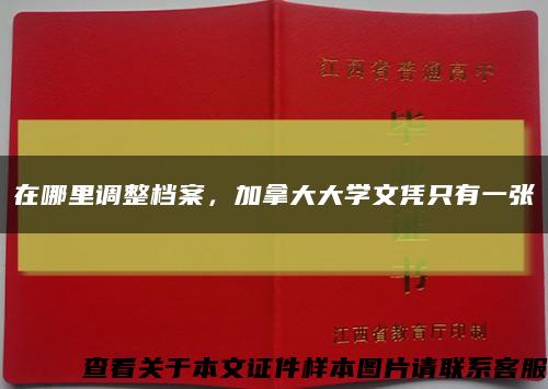 在哪里調整檔案，加拿大大學文憑只有一張縮略圖