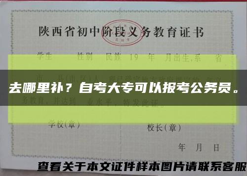 去哪里補？自考大?？梢詧罂脊珓諉T?？s略圖