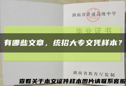 有哪些文章，統招大專文憑樣本？縮略圖