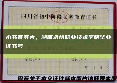 小書有多大，湖南永州職業技術學院畢業證書號縮略圖