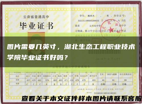 圖片需要幾英寸，湖北生態工程職業技術學院畢業證書好嗎？縮略圖